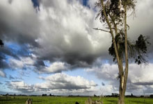 [CBA]常规赛3月26日：北控VS辽宁 廖三宁集锦.