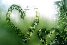 不老传奇还在继续!50岁的丘索维金娜摘得世界杯跳马铜牌澎湃新闻.