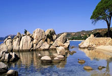 黑白体育官网:战术板|国足有了塞鸟和王钰栋,就等武磊回来进球.